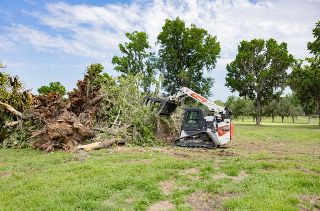 Land clearing in progress removing trees and brush for building site